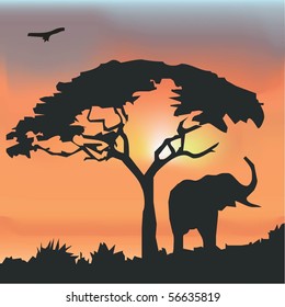African Wildlife Background. Nature Background Series.
