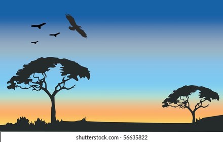 African Wildlife Background. Nature Background Series.