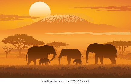 African Wildlife, Elephants under sunset and Mount Kilimanjaro, vector illustration EPS