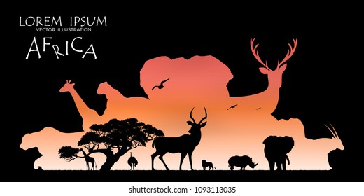 African wildlife landscape, savanna landscape, africa safari card, tropical country sky vector, continental continent, illustrated design for web.