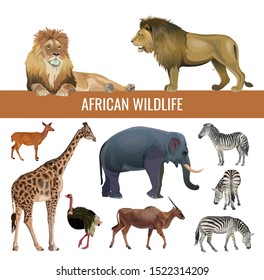 African wildlife: lions, zebras, antelopes, elephant, giraffe and ostrich. Vector illustration isolated on white background