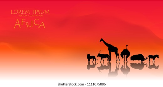 African Wildlife. Nature Background. Africa savanna landscape. safari card.  vector illustration. colorful  South Africa background for card and web.  