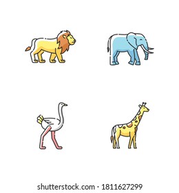 African wildlife RGB color icons set. Exotic fauna, tropical predator and herbivore animals. Lion, elephant, giraffe and ostrich. Isolated vector illustrations