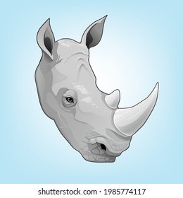 African wildlife Rhino Head Vector illustration 