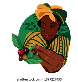 African woman harvests coffee from a branch. Coffee farm. A beautiful yellow turban and striped robe. Vector illustration flat design.