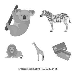 African zebra, animal koala, giraffe, wild predator, lion. Wild animals set collection icons in monochrome style vector symbol stock illustration web.