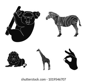 African zebra, animal koala, giraffe, wild predator, lion. Wild animals set collection icons in black style vector symbol stock illustration web.