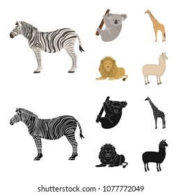 African zebra, animal koala, giraffe, wild predator, lion. Wild animals set collection icons in cartoon,black style vector symbol stock illustration web.
