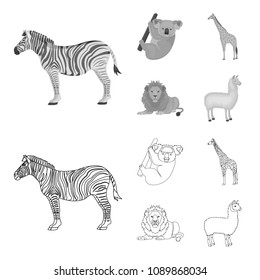 African zebra, animal koala, giraffe, wild predator, lion. Wild animals set collection icons in outline,monochrome style vector symbol stock illustration web.