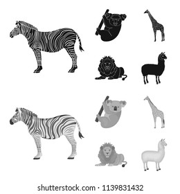 African zebra, animal koala, giraffe, wild predator, lion. Wild animals set collection icons in black,monochrom style vector symbol stock illustration web.