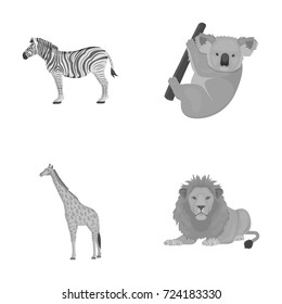 African zebra, animal koala, giraffe, wild predator, lion. Wild animals set collection icons in monochrome style vector symbol stock illustration web.