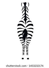 African zebra back view outline striped silhouette animal design flat vector illustration isolated on white background