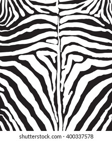 African zebra pelt background. Black and white zebra stripes. Zebra Template, zebra pattern. Zebra cover Scrapbook. Safari zebra black stripes. Vintage Zebra Print. Zebra texture. Zebra Hand Drawn