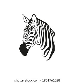 African zebra portrait in vector isolated on white background. Wild animal black and white illustration for minimalist print or other design