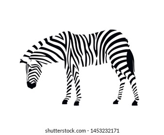 African zebra side view outline striped silhouette animal design flat vector illustration isolated on white background