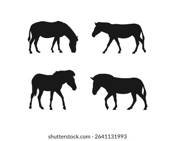 African zebra silhouette. Zebra Silhouettes Depicting Diverse Poses. Zebra silhouette isolated vector illustration.