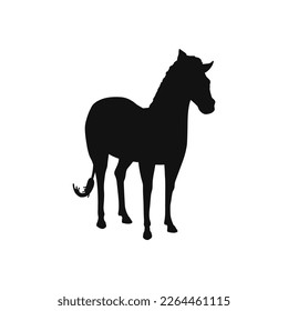 African Zebra standing black silhouette vector illustration isolated on white background. Zebra animal of African savanna regions black outline shape.