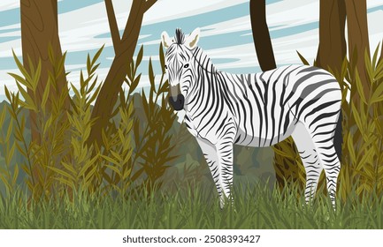 Afrikanisches Zebra steht in der Savanne. Weiden, Bäume und Sträucher, Gras und Steine. Tiere in Afrika. Realistische Vektorlandschaft