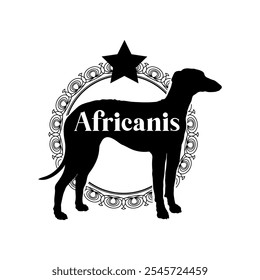 Africanis perro silueta, perro, razas de perro, Vector, silueta, diseño de logotipo, animal, ilustración, icono, signo, negro, mascota