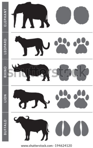 Africa\'s Big Five Animal Tracks: Elephant, Lion,\
Leopard, Buffalo and\
Rhino