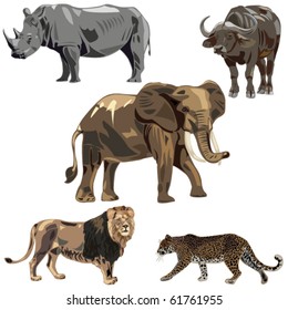 Africa's five wild beasts: elephant, rhino, buffalo, lion, leopard