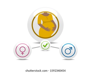 Afro american pregnancy woman. Infographics with boy or girl. Vector illustration