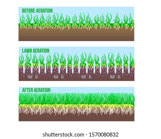 After and Before Lawn Aeration stage sign illustration. Gardening long grass lawn care, landscaping service. Vector stock design isolated on white card