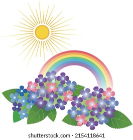 After the rain, the sun, the rainbow, and the hydrangea