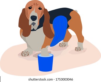 After a walk in the fresh air my legs their Pets. the dog willingly gives paws and belly to wash them from dirt and dust.