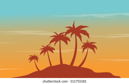 At afternoon seaside palm scenery silhouettes