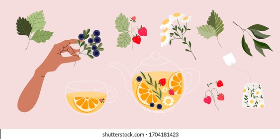 Afternoon tea time. Hand-drawn vector set of tea ceremony elements: tea bag, pot, cup and variety of berry branches. Hand holding blueberry branch. Chamomile tea in a transparent pot. Trendy vector. 