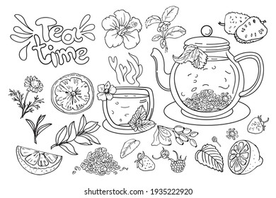 Afternoon tea time. Hand-drawn vector set of tea ceremony elements: teapot, cup, lemon, hibiscus flowers and variety of berry branches.  Chamomile tea in a transparent pot.Illustration in sketch style