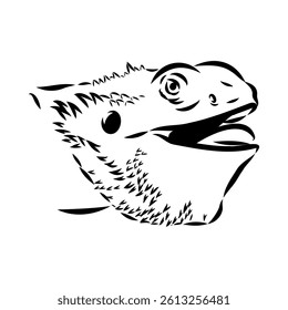 Agama Lizard hand drawing vector illustration isolated on white background