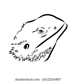 Agama Lizard hand drawing vector illustration isolated on white background