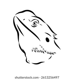 Agama Lizard hand drawing vector illustration isolated on white background