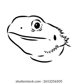 Agama Lizard hand drawing vector illustration isolated on white background