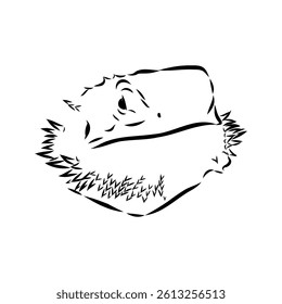 Agama Lizard hand drawing vector illustration isolated on white background