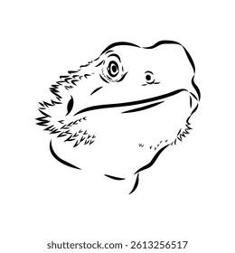Agama Lizard hand drawing vector illustration isolated on white background