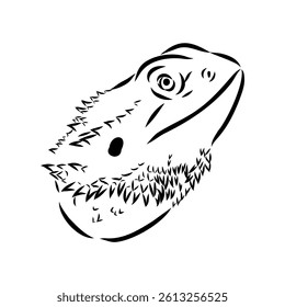 Agama Lizard hand drawing vector illustration isolated on white background