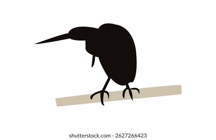 Agami heron bird Silhouette Design  And Vector Illustration. 

