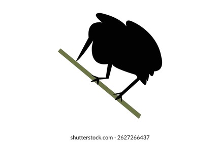 Agami heron bird Silhouette Design  And Vector Illustration. 
