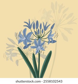 agapanthus, African lily, garden flower, vector drawing flowering plants, floral composition, hand drawn botanical illustration