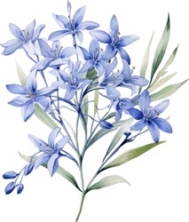Agapanthus Africanus Watercolor Floral Arrangements With Beautiful African Lily Flower, Watercolor Floral Bouquet.