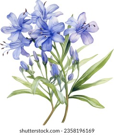 Agapanthus africanus Watercolor floral arrangements with beautiful African Lily flower, Watercolor floral bouquet. svg