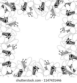 Agapanthus Flower Outline Border on White Background. Vector Illustration.