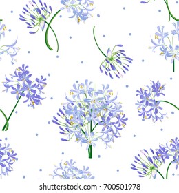 The agapanthus flower in spring. Blue flower is vector for seamless, pattern and background.  svg
