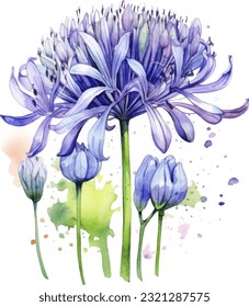 Agapanthus Watercolor illustration. Hand drawn underwater element design. Artistic vector marine design element. Illustration for greeting cards, printing and other design projects. svg