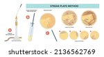 Agar plate method cell colony growth loop Bacteria Test blood stool urine mucus spinal fluid Sepsis Lab microbe fungi virus exam throat strep petri dish pour c diff germs Inoculate bacteriological