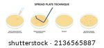 Agar plate method cell colony growth loop Bacteria Test blood stool urine mucus spinal fluid Sepsis Lab microbe fungi virus exam throat strep petri dish pour c diff germs Inoculate bacteriological