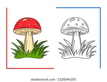 Agaric fly fungus is an agaric mushroom with a red cap and white spots. Antistress. Coloring book for children. Vector outline drawing in color. Used for coloring, magazine printing, web design illust